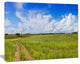 Road in Field with Green Grass, Large landscape Canvas Art Print, 60x40