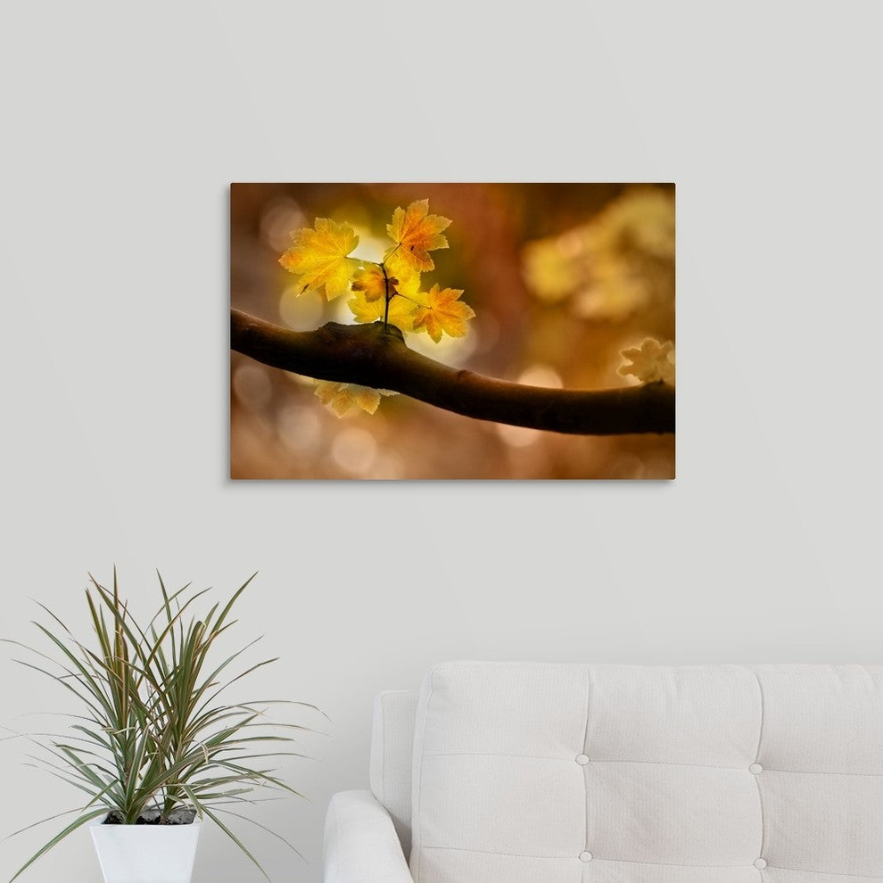 "In Autumn" Wrapped Canvas Art Print, 24"x16"x1.5"