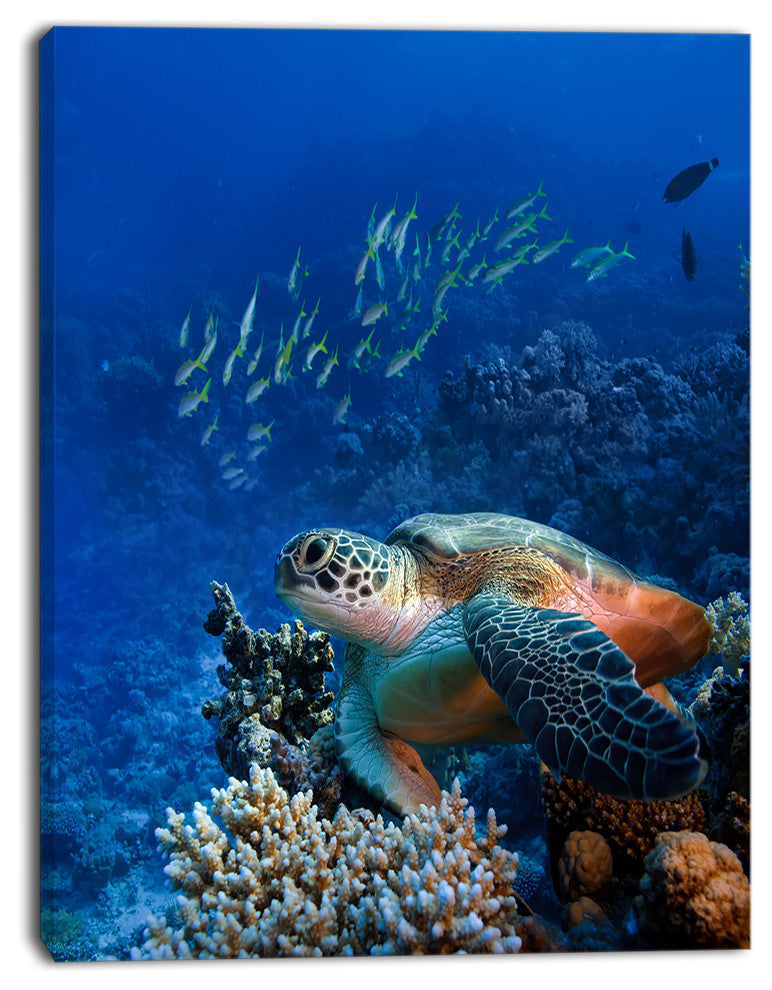 Large Sea Turtle underwater, Abstract Canvas Art Print, 28"x60"