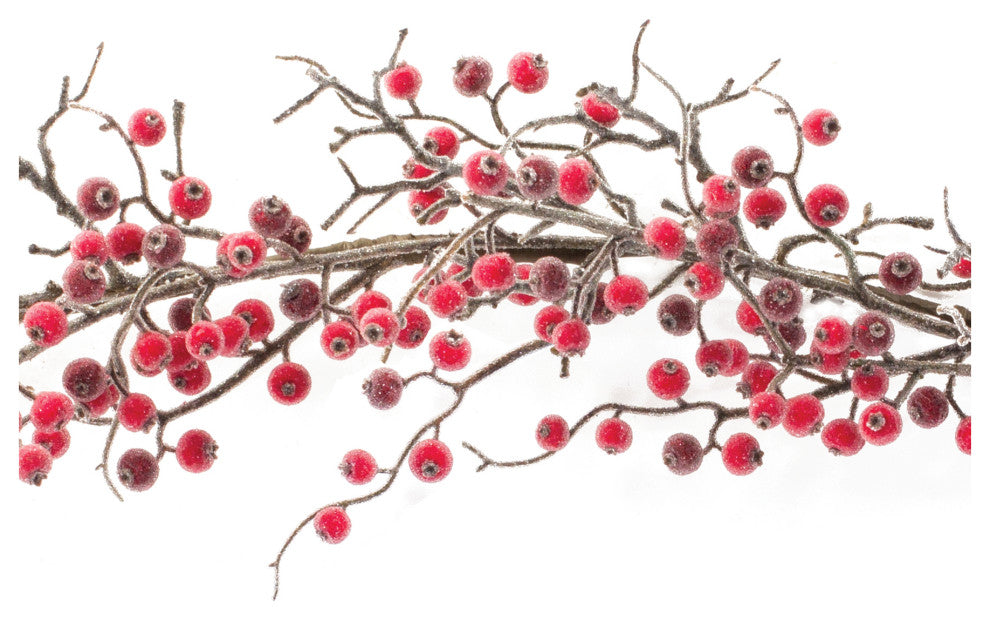 Iced Berry Twig Garland 5'L
