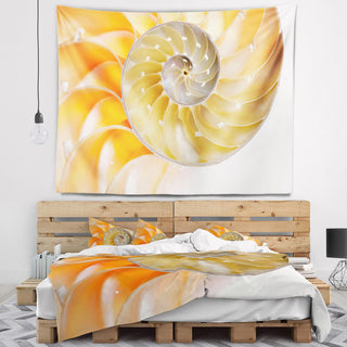 Isolated Nautilus Shell Contemporary Wall Tapestry, 60"x50"