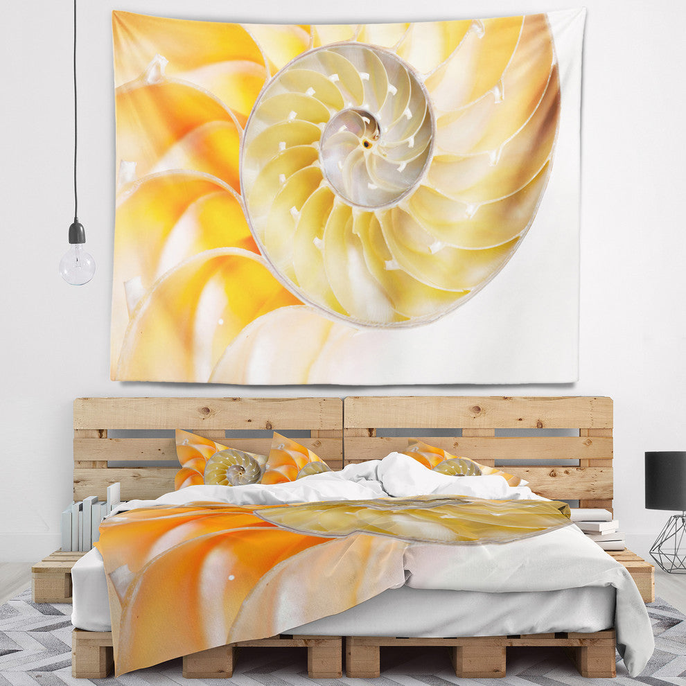 Isolated Nautilus Shell Contemporary Wall Tapestry, 60"x50"