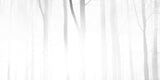 Foggy Forest Print on Canvas, 91x45 cm