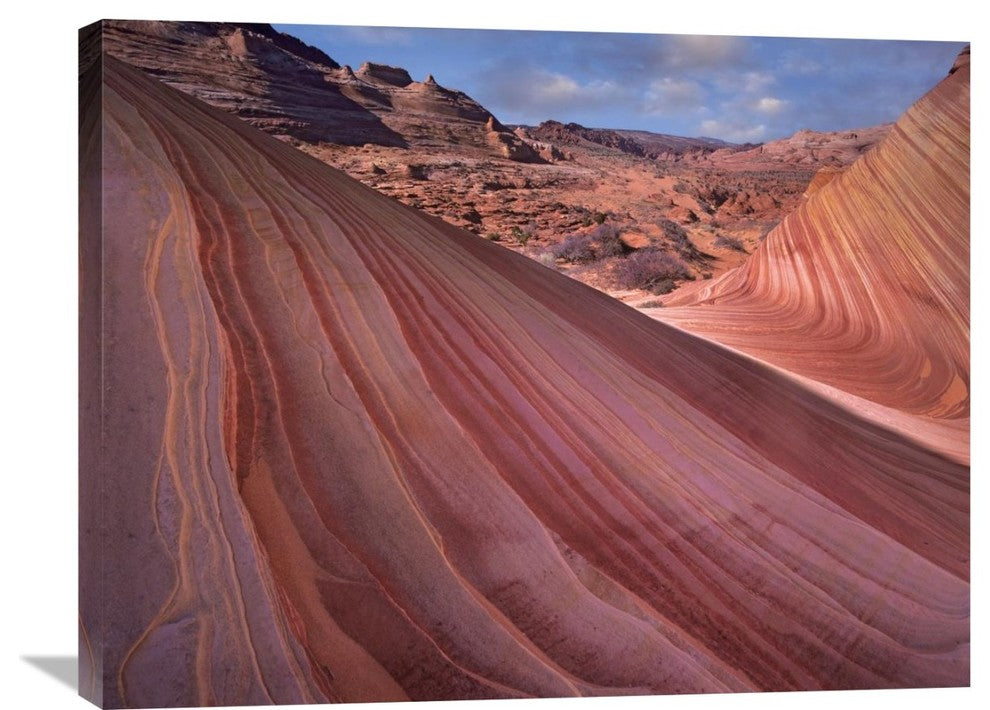 Sandstone Formation-Vermilion Cliffs Wilderness, AZ" Artwork