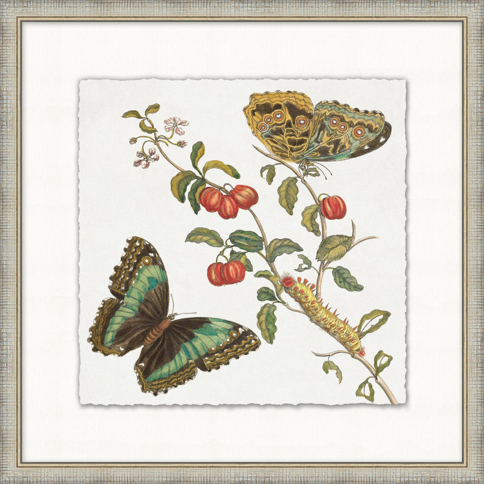 Garden Butterflies 2, Giclee Reproduction Artwork