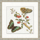 Garden Butterflies 2, Giclee Reproduction Artwork