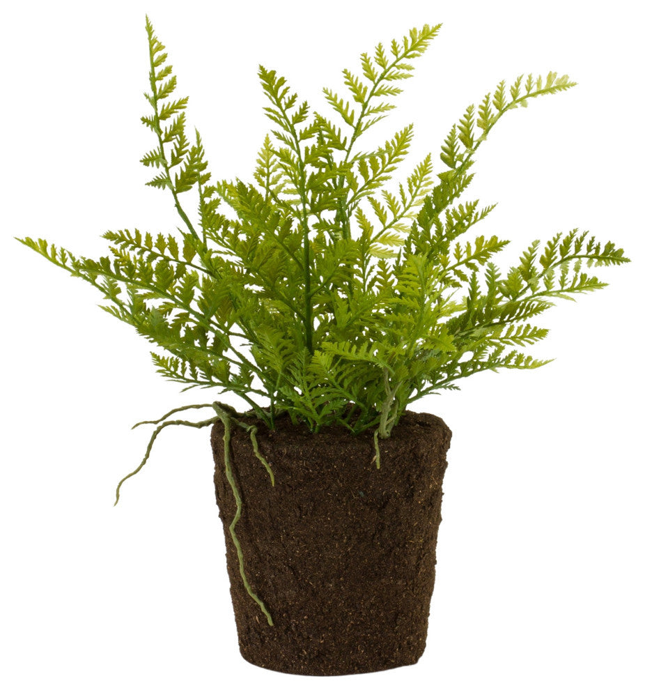 Potted Fern Plant, 3-Piece Set