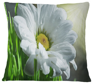 Single Beautiful Daisy Flower Flower Throw Pillow, 18"x18"