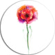 Isolated Poppy Flower In Full Bloom, Flower Disc Metal Artwork, 23"