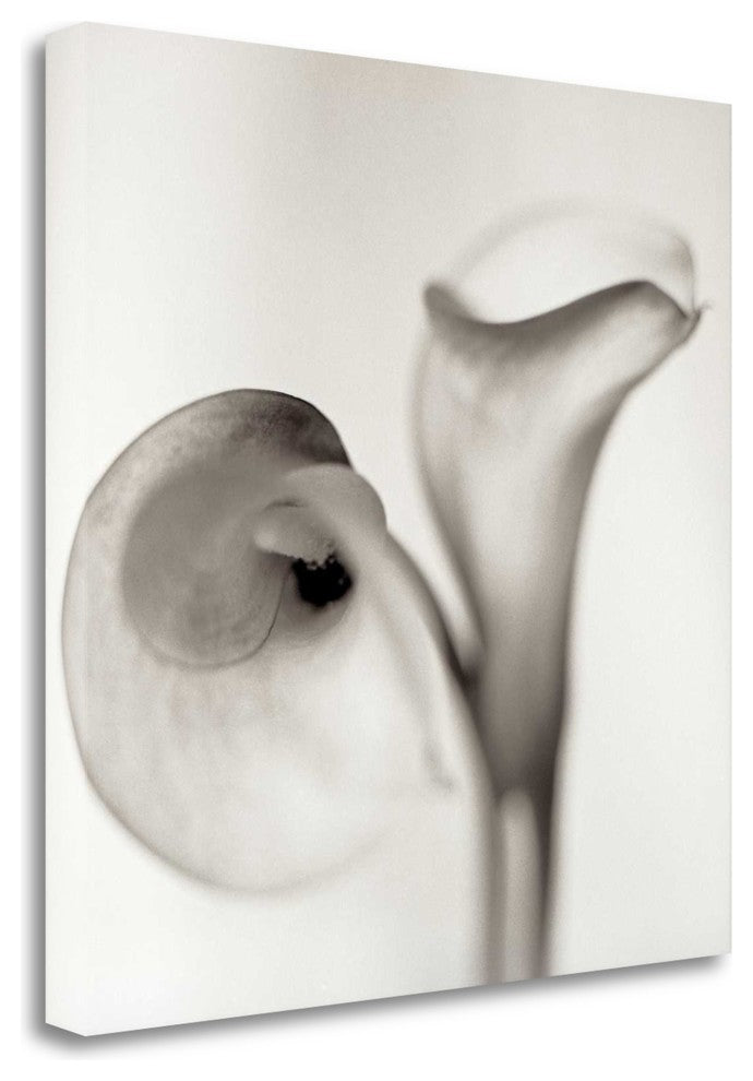 "Florison - 35" By Alan Blaustein, Giclee Print on Gallery Wrap Canvas