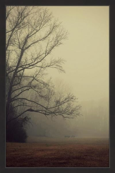 "A Gathering of Fog" Framed Painting Print, 30"x45"