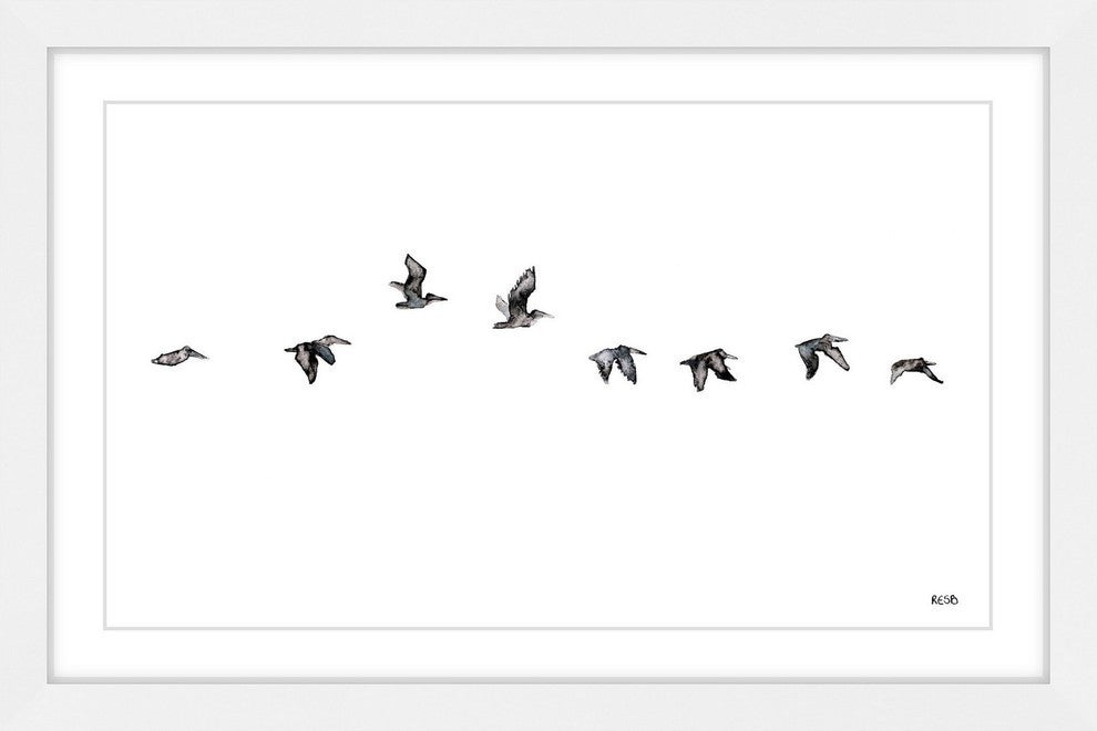 "The Squadron" Framed Print by Rachel Byler