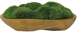 Uttermost Kinsale Moss Centerpiece, Natural Teak, 60180