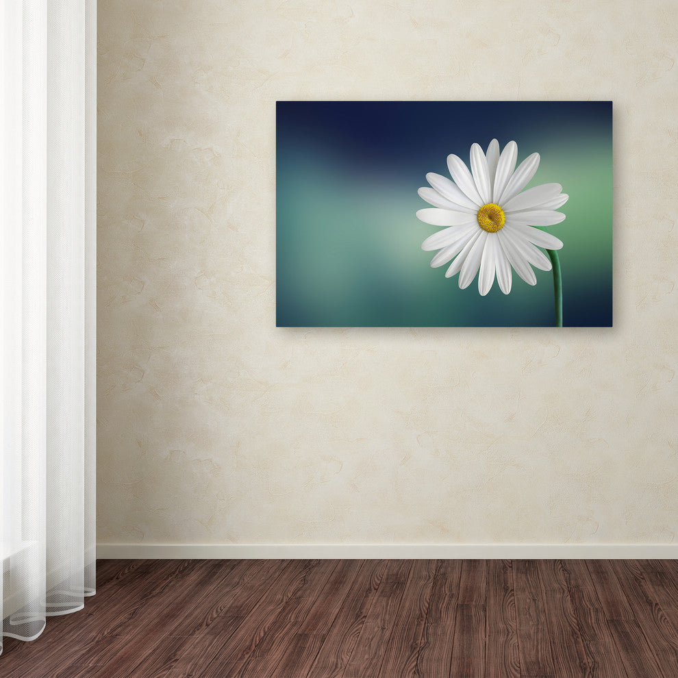 Bess Hamiti 'Flower' Canvas Art, 24x16