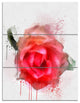 Beautiful Red Rose Watercolor, Floral Triptych Canvas Art Print, 28x36, 3 Panels