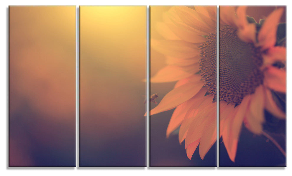 Vintage Photo Of Sunflower Close up, Floral Canvas Print, 48"x28", 4 Panels