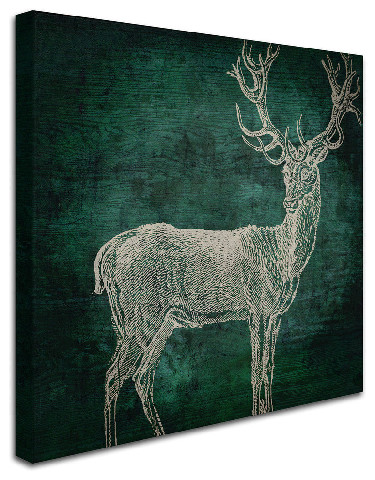 Color Bakery 'Emerald Deer' Canvas Art, 24"x24"