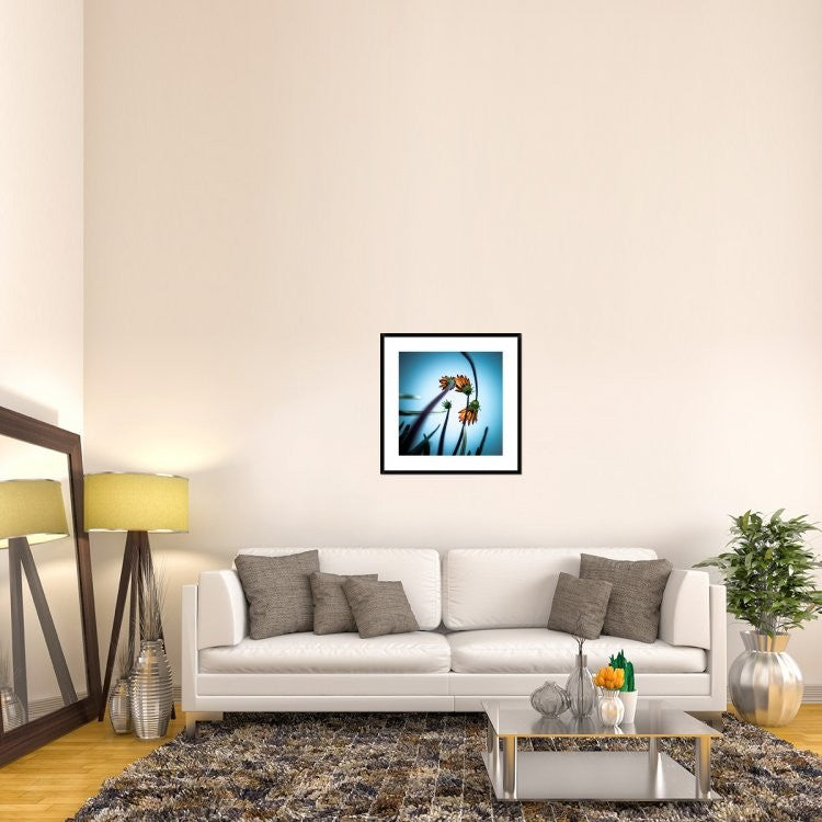 "Flowerlove" Framed Digital Print by Fgr100, 30x30"