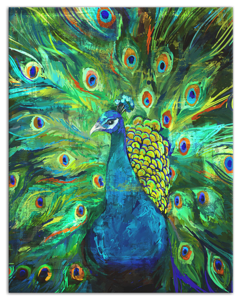 Peacock Power 11x14 Canvas Wall Art