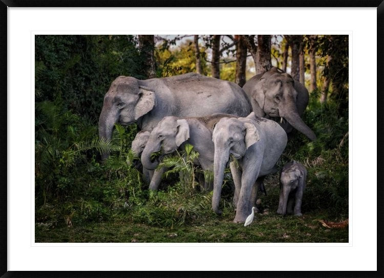 "Tasty Leaves" Framed Digital Print by Pavol Stranak, 44x32"