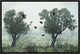 "Crows In The Mist" Framed Canvas Giclee by S. Amer, 19x13"