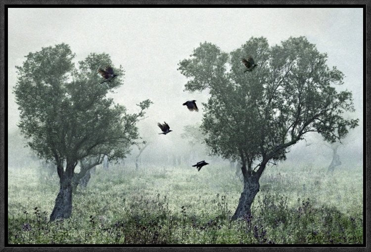 "Crows In The Mist" Framed Canvas Giclee by S. Amer, 19x13"