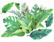 Green Watercolor Tropical Leaves XL Giant Wall Decals