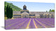 "Abbey of Senanque Blooming Lavender" Landscape Wall Art, 32"x16"