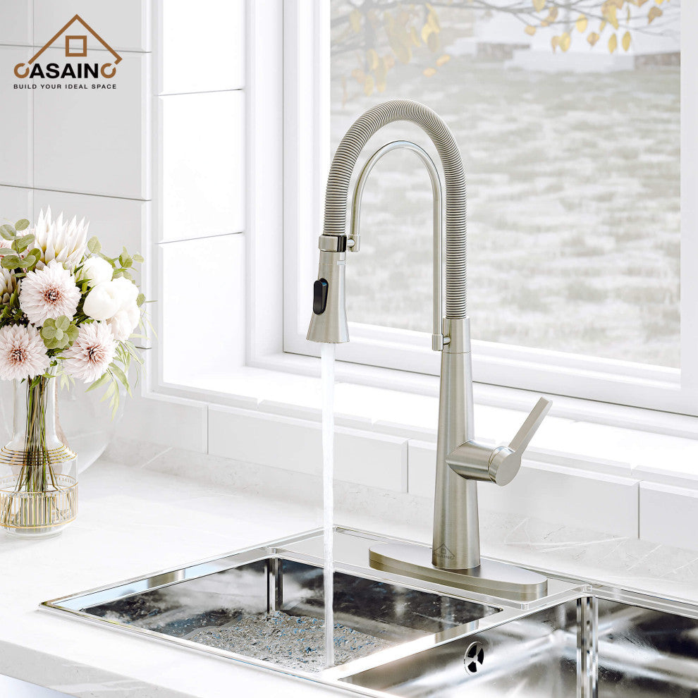Single-Handle Spring Neck Standard Kitchen Faucet with Dual-Function, Brushed Nickel