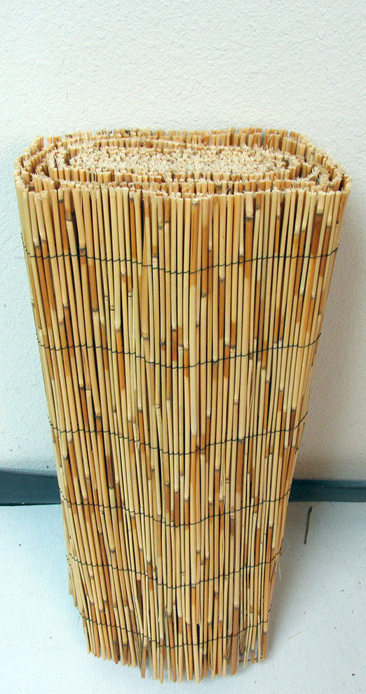 Reed Fence, 24"