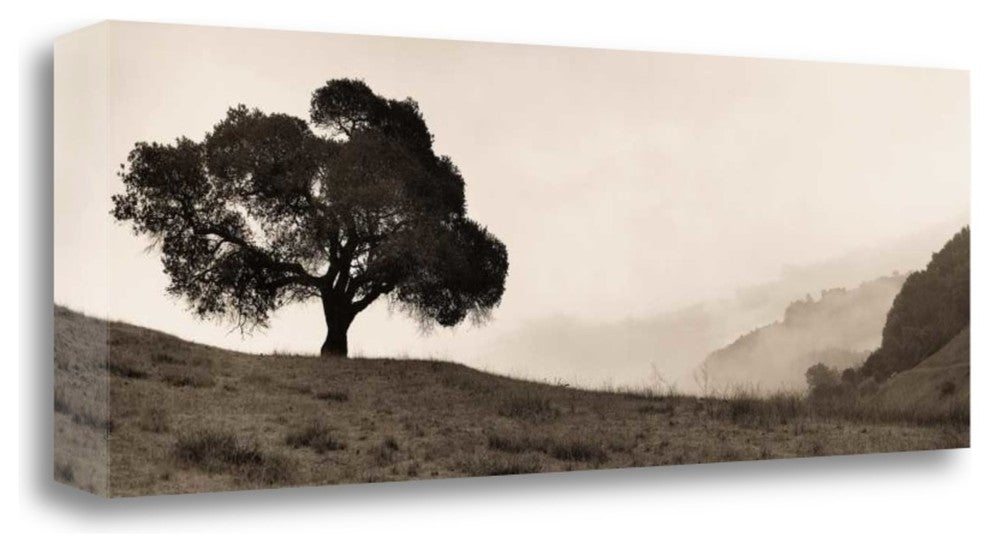 "Black Oak Tree" By Alan Blaustein, Giclee Print on Gallery Wrap Canvas