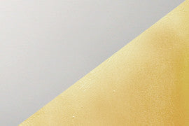Mini Coupe Wall Sconce, Matte White with Champagne Gold internal finish
