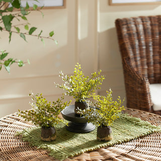 Maidenhair Drop-Ins, Set of 3