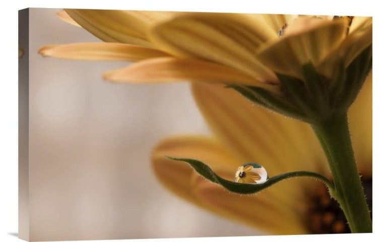 "Protected" Stretched Canvas Giclee by Heidi Westum, 18x12"