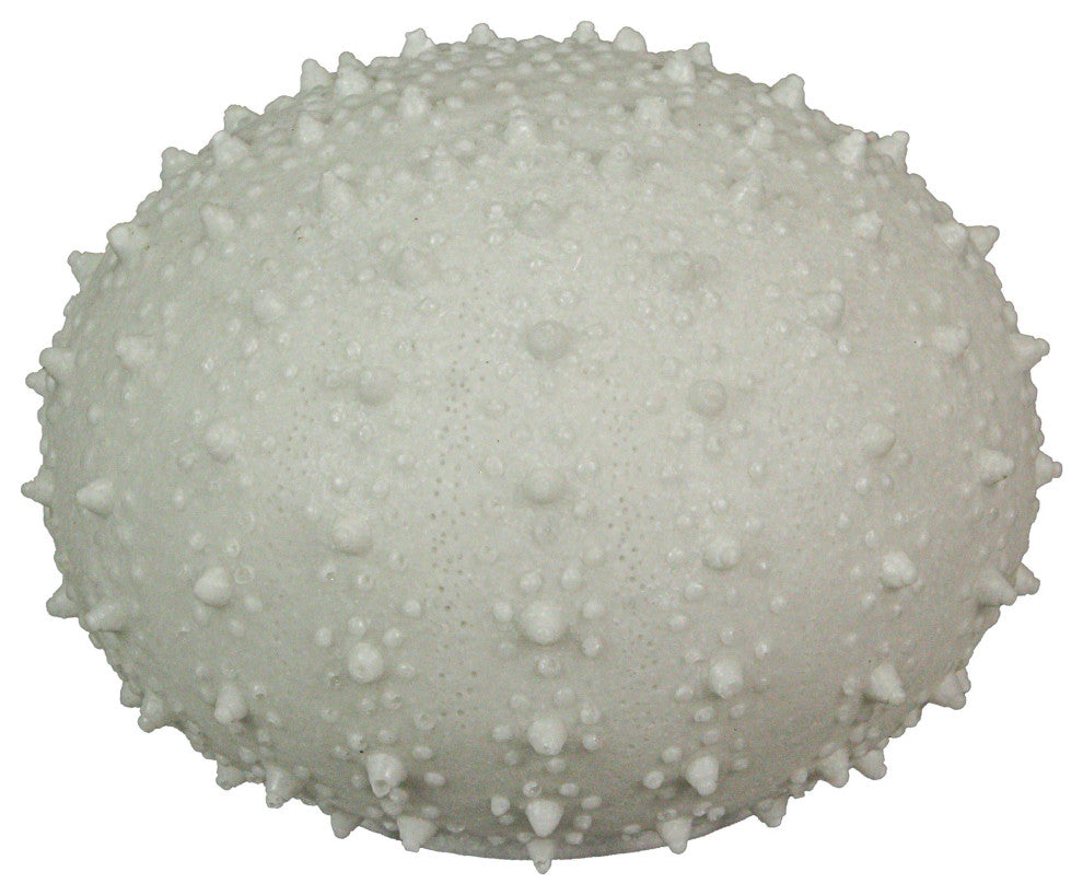 8.5" Resin LED Sea Urchin Accent Lamp - Nautical Decor