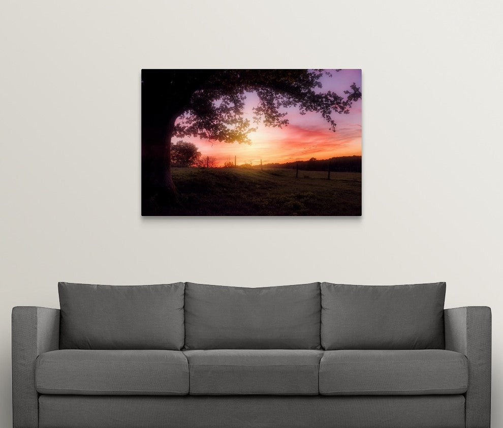 "Lazy Birds" Wrapped Canvas Art Print, 48"x32"x1.5"
