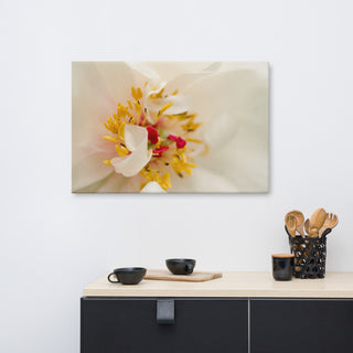 Eye of Peony Floral Nature Photography Canvas Wall Art Print, 24" X 36"