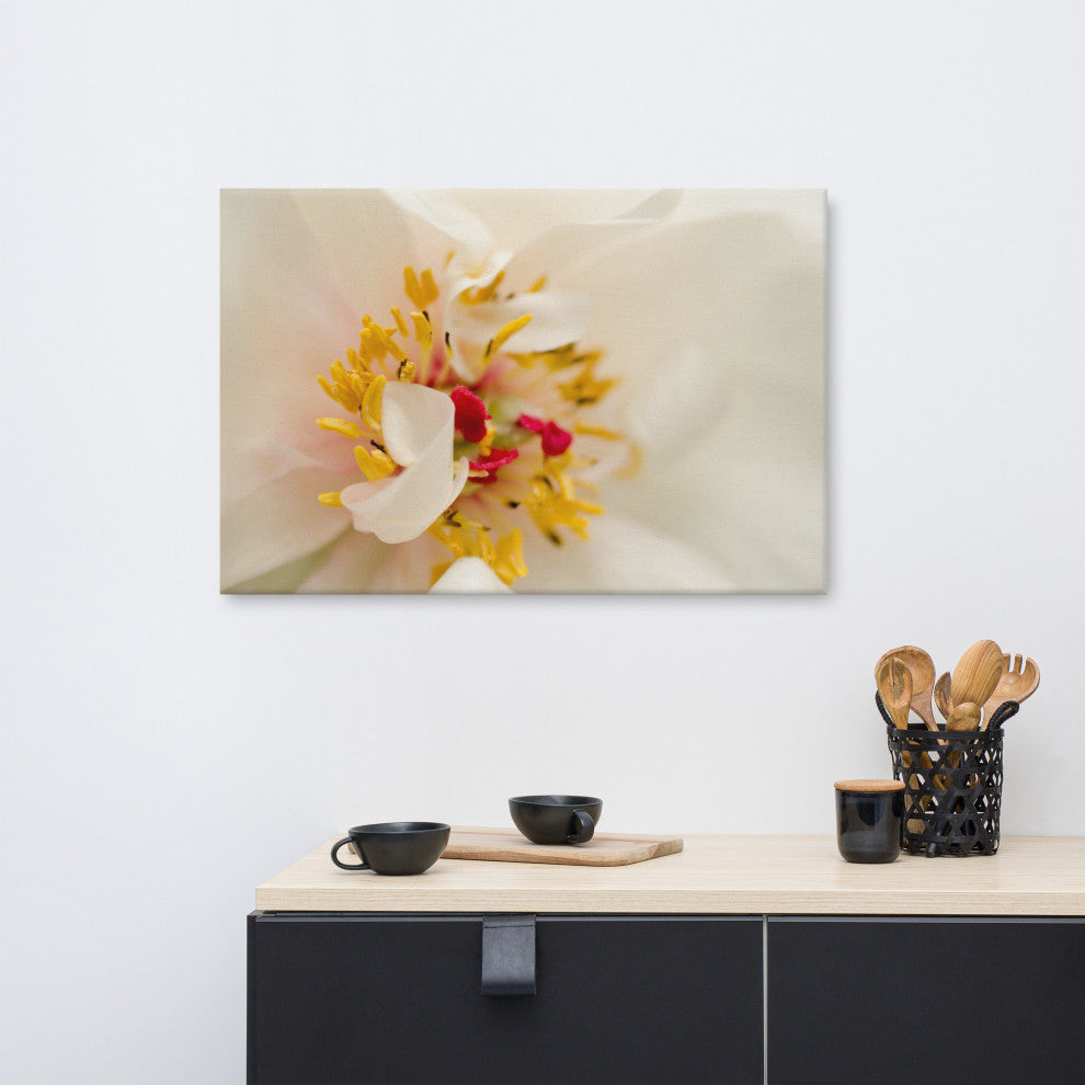Eye of Peony Floral Nature Photography Canvas Wall Art Print, 24" X 36"