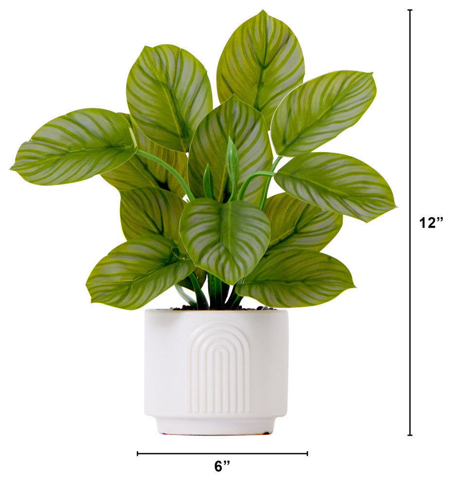 12in. Artificial Calathea Plant with Decorative Planter