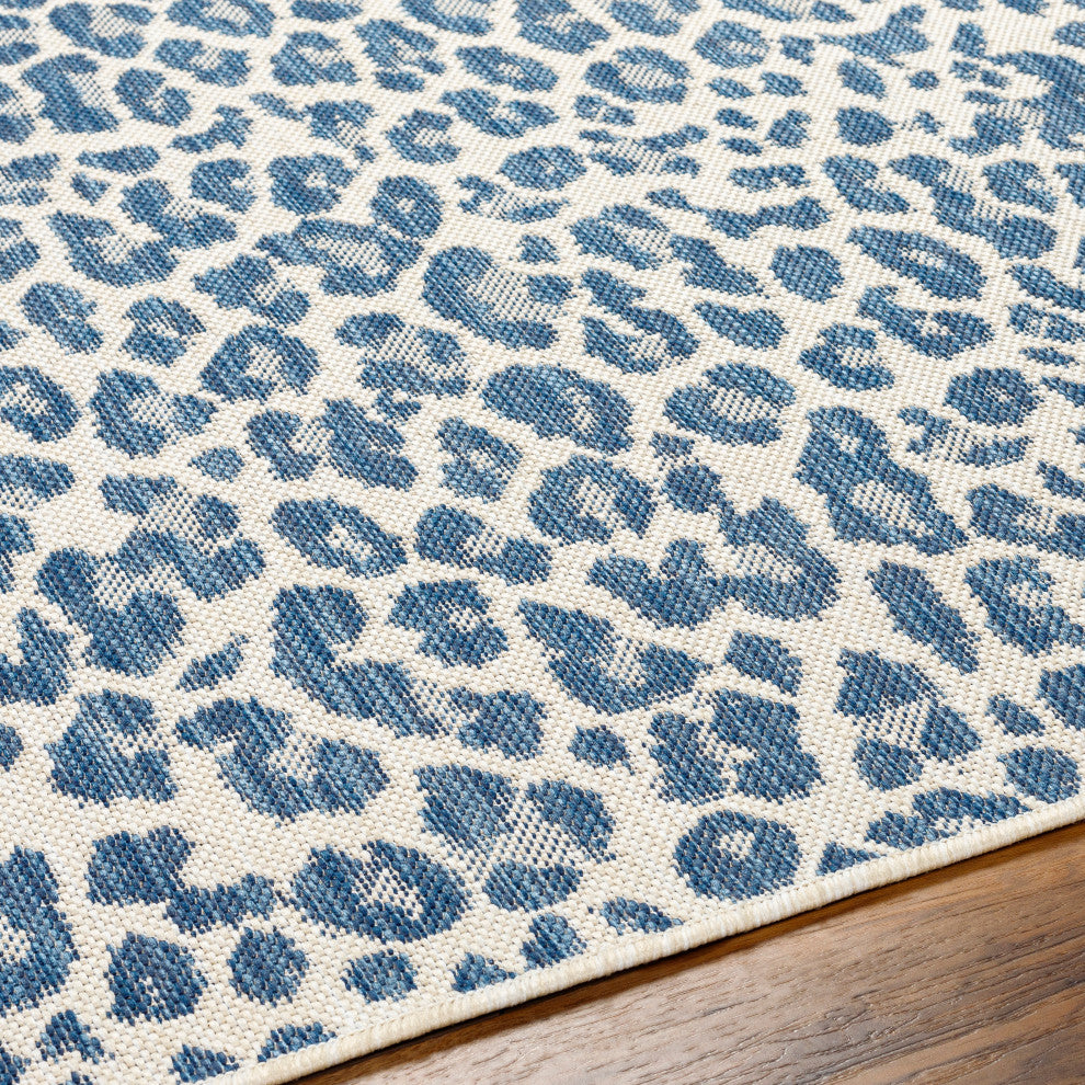 Surya Ravello RVL-2348 Indoor/Outdoor Area Rug