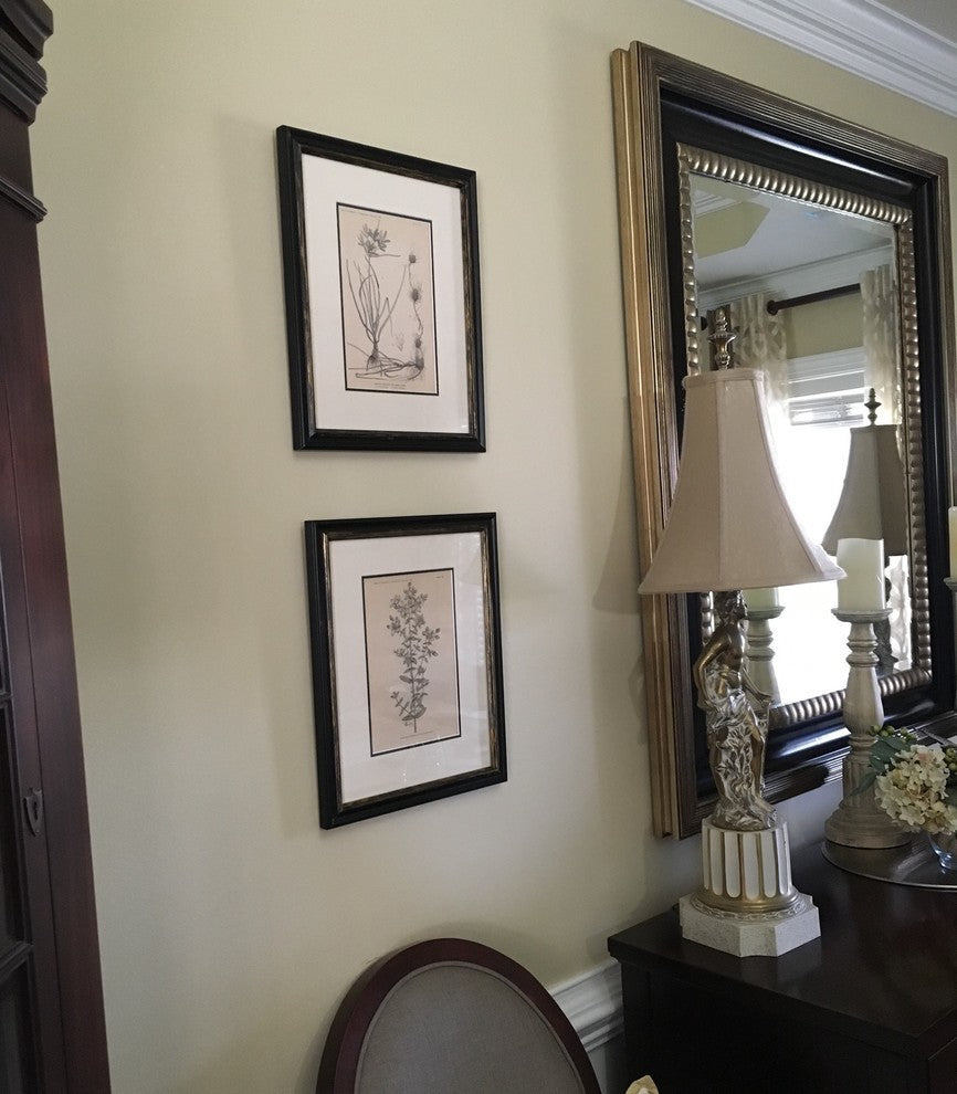 Original Vintage 1887 Botanical Herb Framed Print, Set of 2