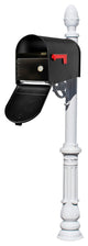 Lewiston Post System-E1 Economy Mailbox, Locking Insert, Mounting Plate, White