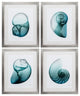 HomeRoots 26" X 32" Silver Frame Blue Shell, Set of 4