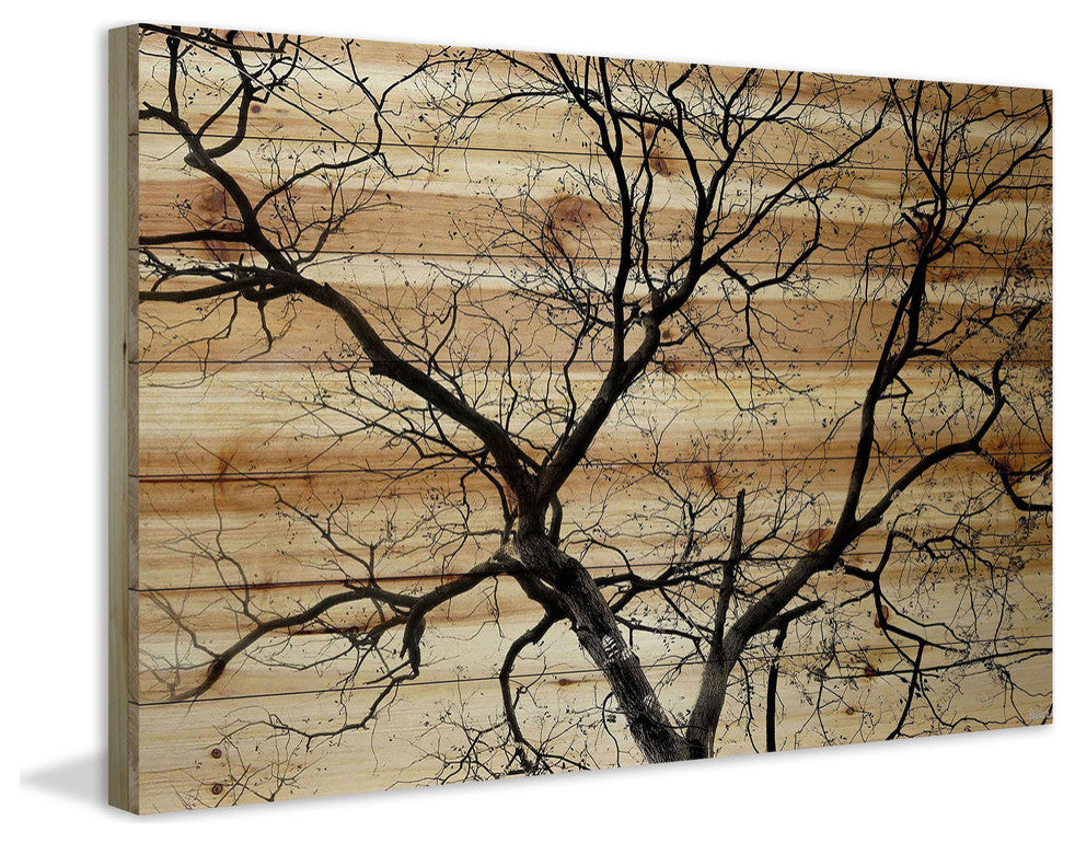 "Branching Out III" Painting Print on Natural Pine Wood, 24"x16"