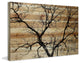 "Branching Out III" Painting Print on Natural Pine Wood, 24"x16"