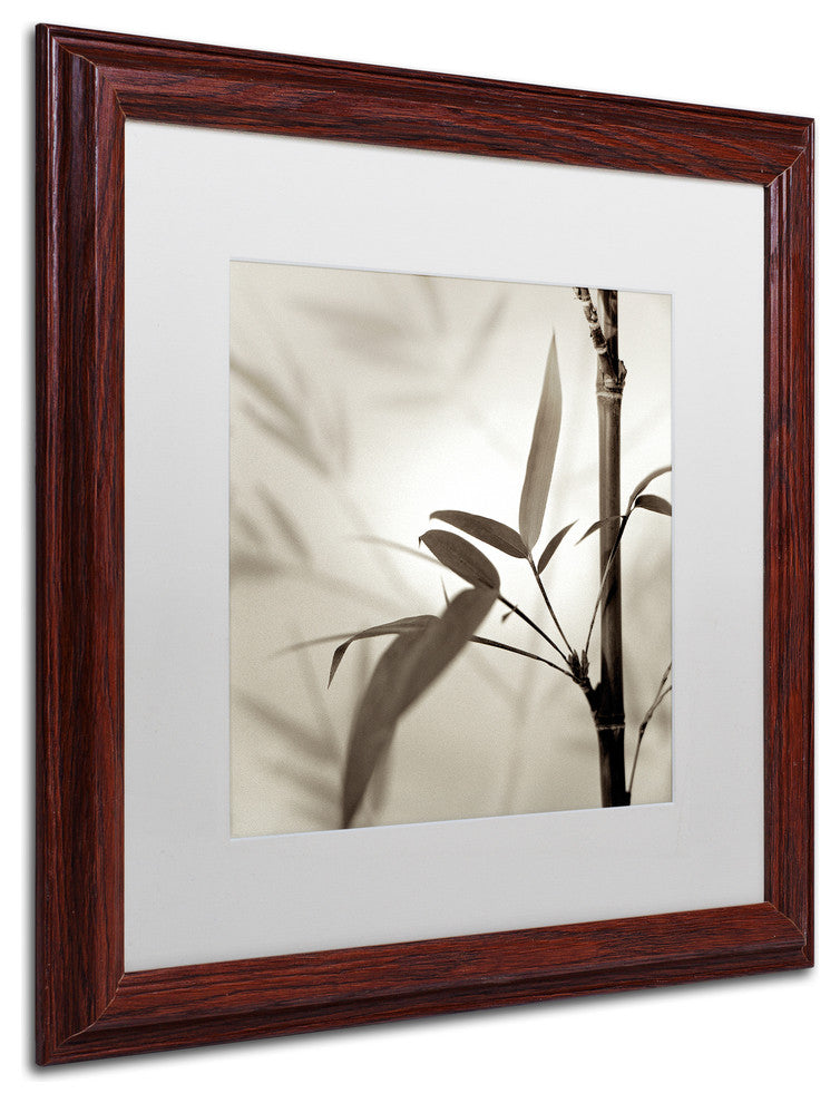 Alan Blaustein 'Florison 64' Art, Wood Frame, White Mat, 16x16