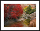 Maple And Cottonwood Trees In Autumn, Zion National Park, Utah, 38"x30"