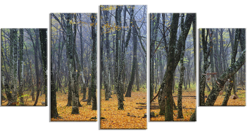 Dark Woods in Autumn Forest, Modern Forest Canvas Art, 60"x32", 5 Panels