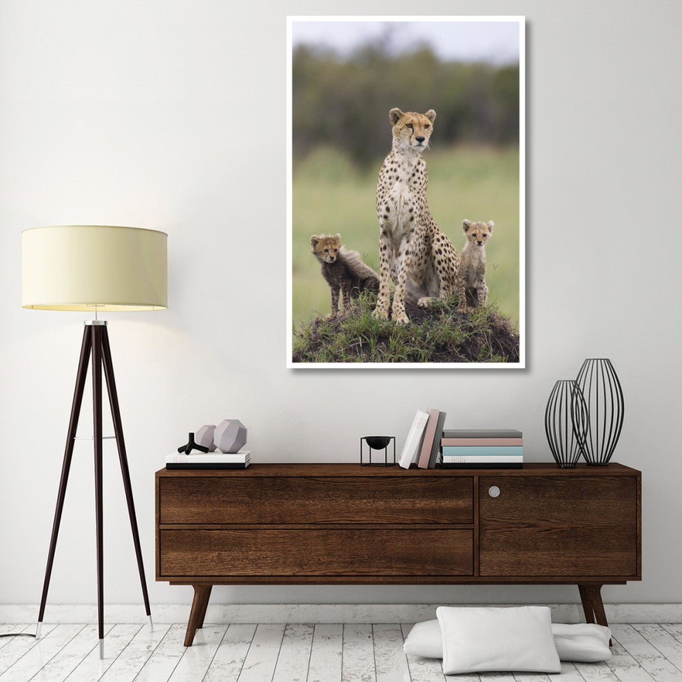 "Cheetah mother and 8-9 week old cubs, Maasai Mara Reserve" Paper Art, 42"x62"