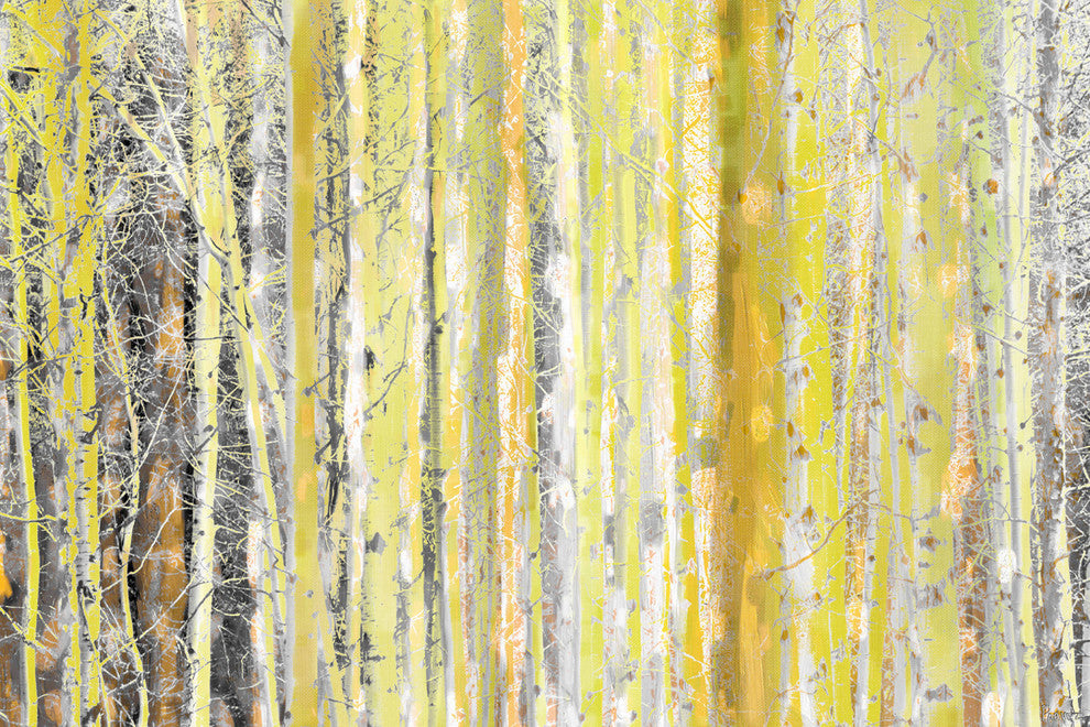 "Aspen Forest" Fine Art Canvas Print, 36"x24"